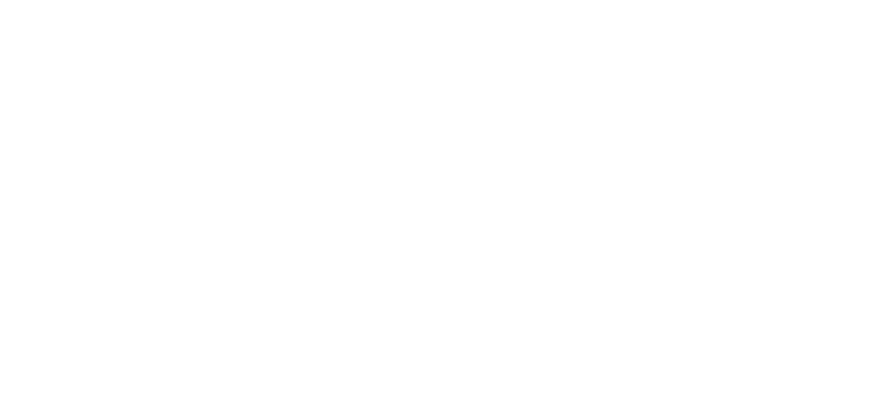 Kameleon Logo